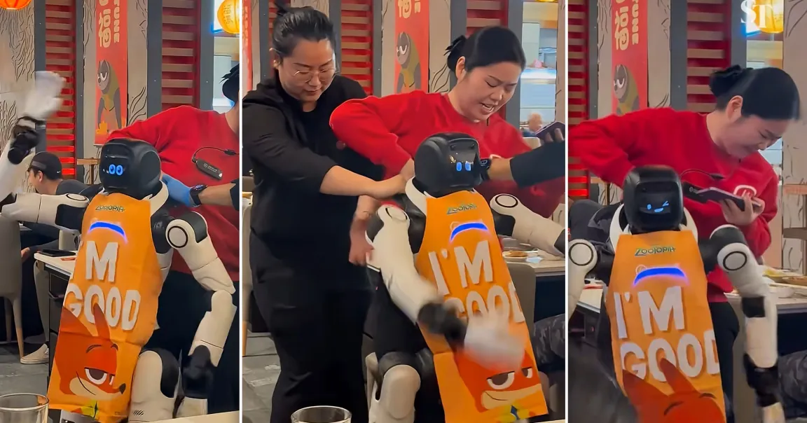 Robot Goes Berserk in California Restaurant, Dragged Away by Staff After Smashing Tableware