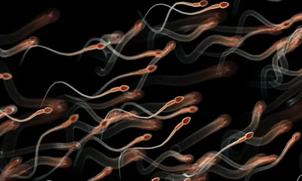 Strict rules to participate in the first-ever Sperm Racing World Cup where winner will take home $100,000