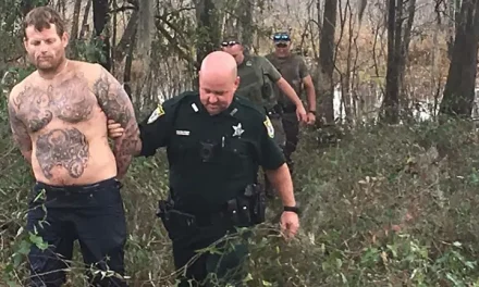 Florida man attempts to hide underwater from cops, gets arrested after coming up for air, police say