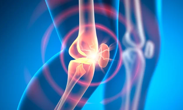 Experimental Drug Can Reverse Osteoarthritis in Weeks, Animal Research Shows