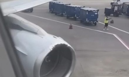 North Carolina flight delayed by bee swarm on turbine