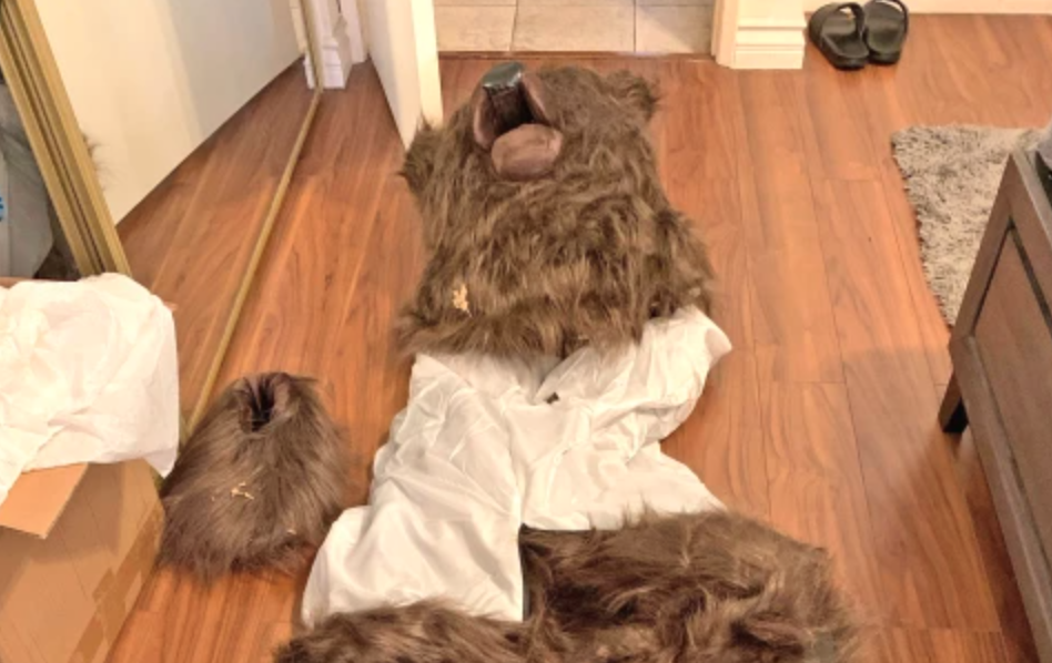 California bear-suit luxury car scam ends in insurance fraud sentences for 3