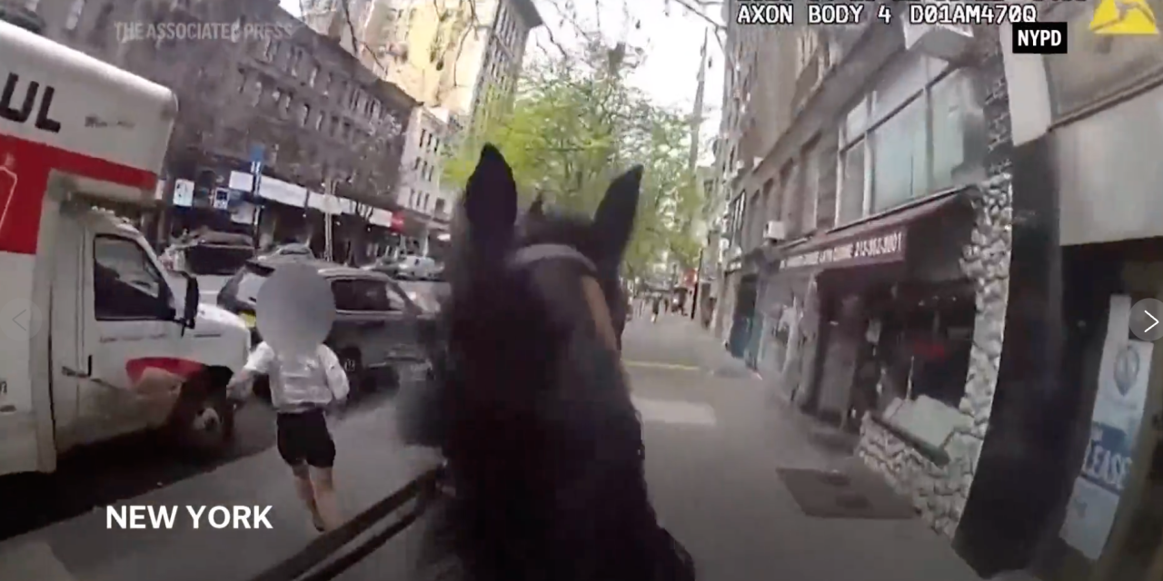 Mounted New York police officer and his horse corner suspected purse snatcher in Manhattan