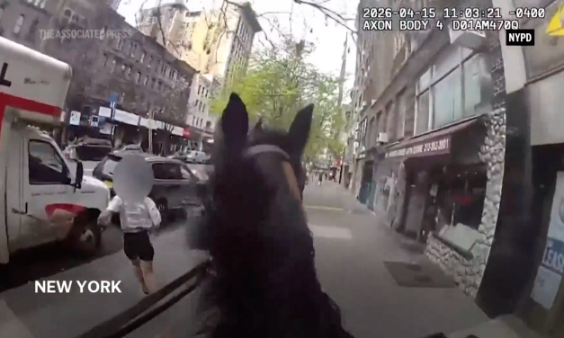 Mounted New York police officer and his horse corner suspected purse snatcher in Manhattan
