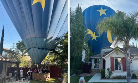 Mind if we drop in? Hot air balloon with 13 aboard makes emergency landing in California backyard
