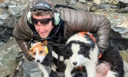 Hiker’s dog lost in a wild New Zealand forest rescued by helicopter after strangers fund search