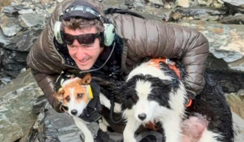 Hiker’s dog lost in a wild New Zealand forest rescued by helicopter after strangers fund search