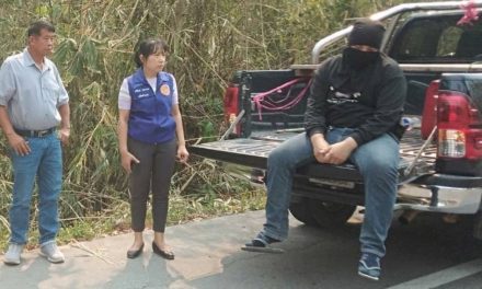 Bored Man Confesses to Starting Forest Fire for His Own Amusement
