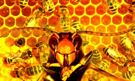Woman Convicted for Attacking Police With Swarm of Furious Bees