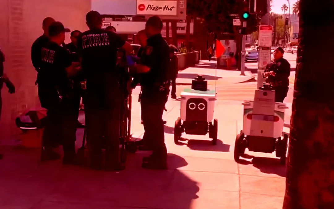 Two Delivery Bots Blunder Into the Middle of a Police Incident, Have Awkward Standoff