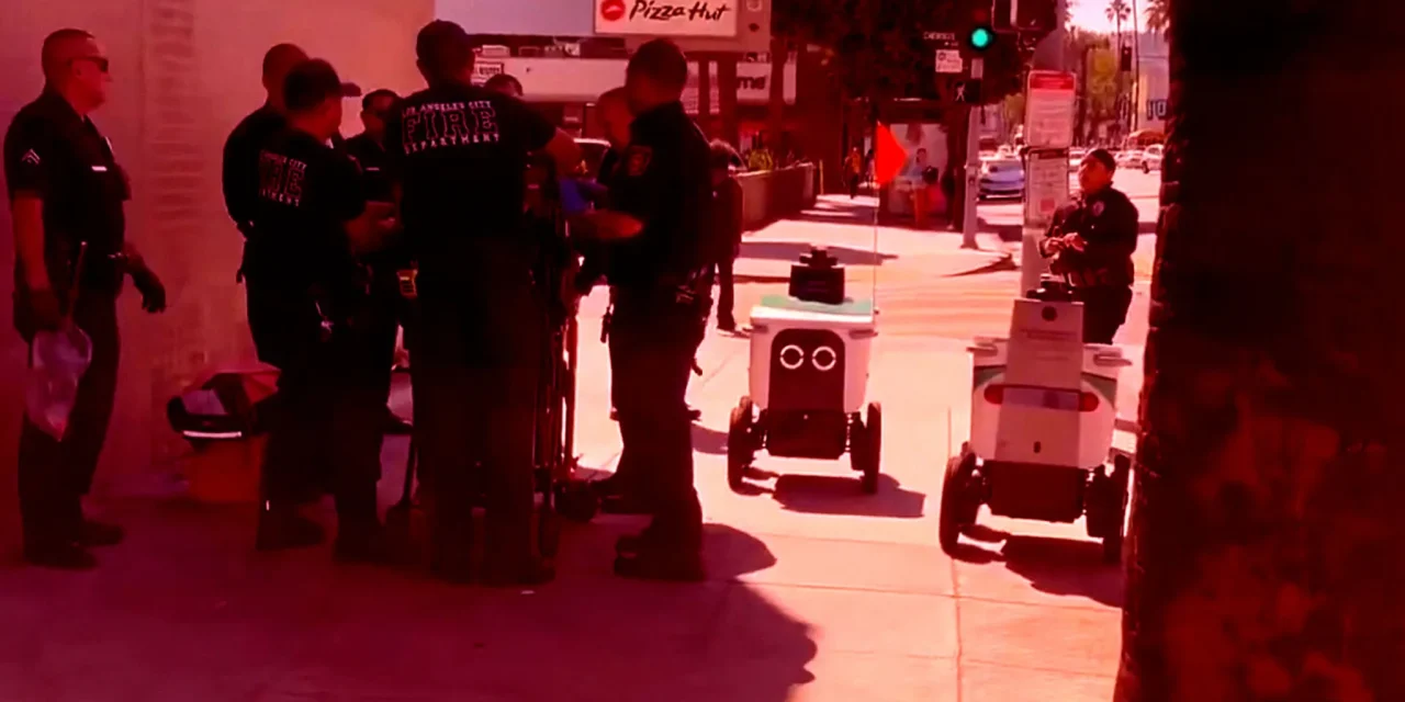 Two Delivery Bots Blunder Into the Middle of a Police Incident, Have Awkward Standoff