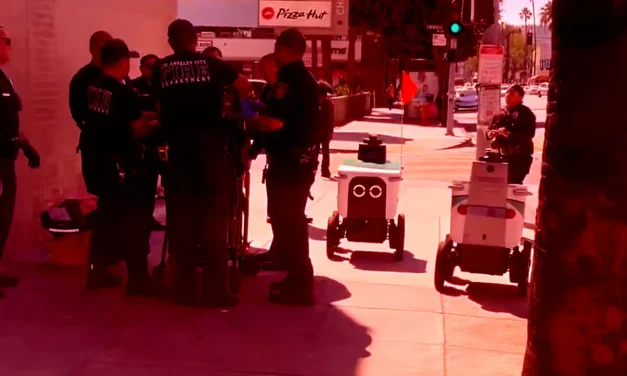 Two Delivery Bots Blunder Into the Middle of a Police Incident, Have Awkward Standoff
