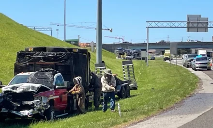 1 million bees make for bumper-to-buzzer traffic on a Tennessee highway ramp