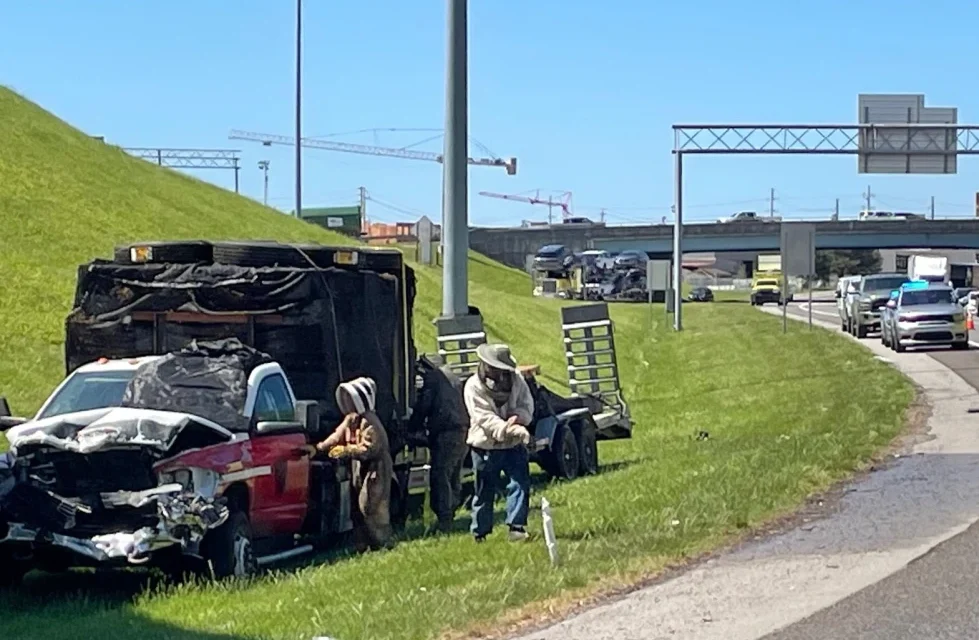 1 million bees make for bumper-to-buzzer traffic on a Tennessee highway ramp