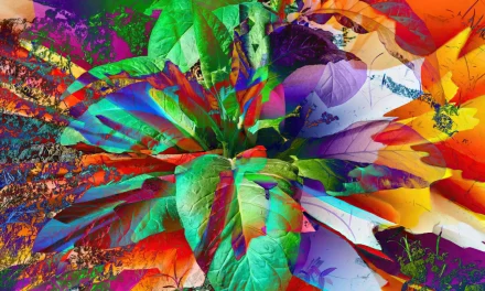 Scientists Gene Hacked a Plant So It Grows Five Types of Psychoactive Drugs at Once