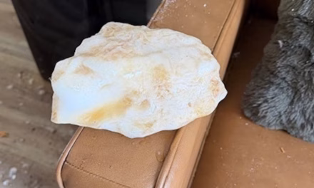 Falling ice chunk crashes through roof, lands on living room couch