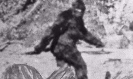 Why the FBI Secretly Investigated Bigfoot—and the Brutal Truth They Found