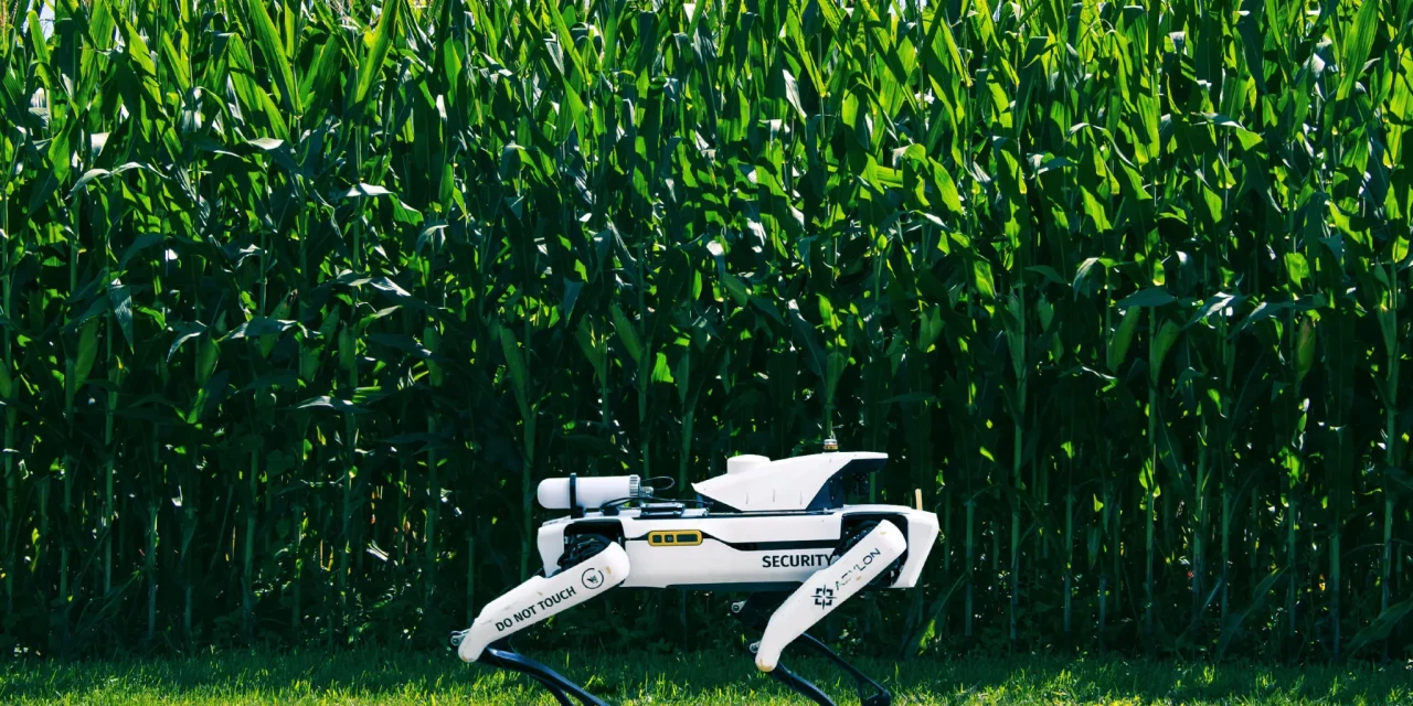 Robot Dogs Patrolling Precious Crops as Food Crisis Deepens