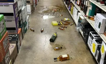 Raccoon goes on drunken rampage in Virginia liquor store and passes out on bathroom floor
