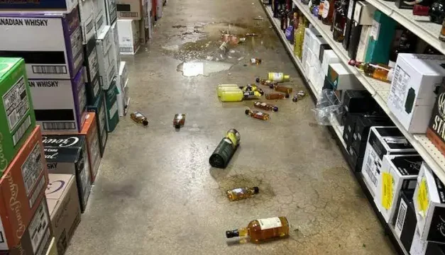 Raccoon goes on drunken rampage in Virginia liquor store and passes out on bathroom floor