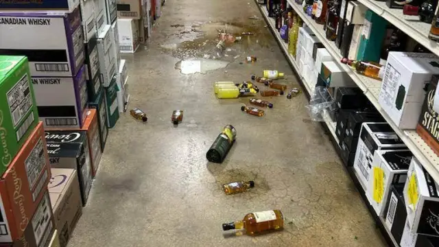 Raccoon goes on drunken rampage in Virginia liquor store and passes out on bathroom floor