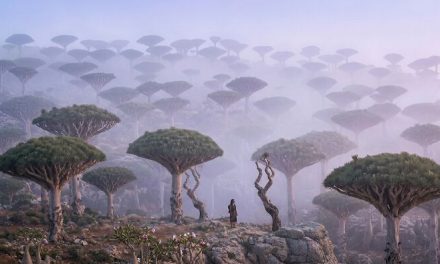 58 Photos That Look Like They Couldn’t Have Been Taken On Earth But They Were