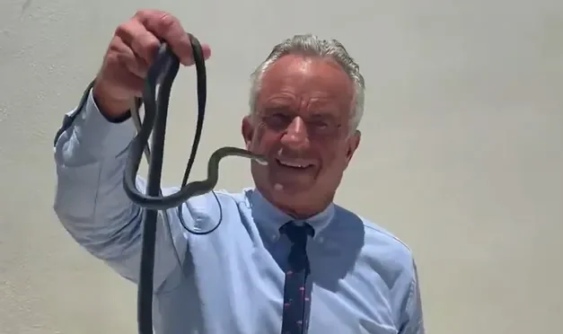 RFK Jr. wrangles snakes with bare hands in latest animal encounter