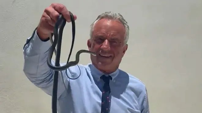 RFK Jr. wrangles snakes with bare hands in latest animal encounter