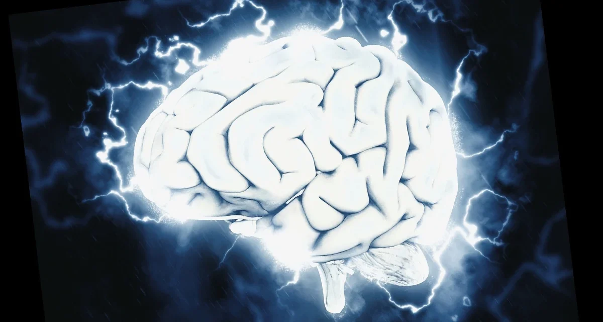 A Simple Chore Could Help Calm Your Mind, And It’s Popular With Zen Monks