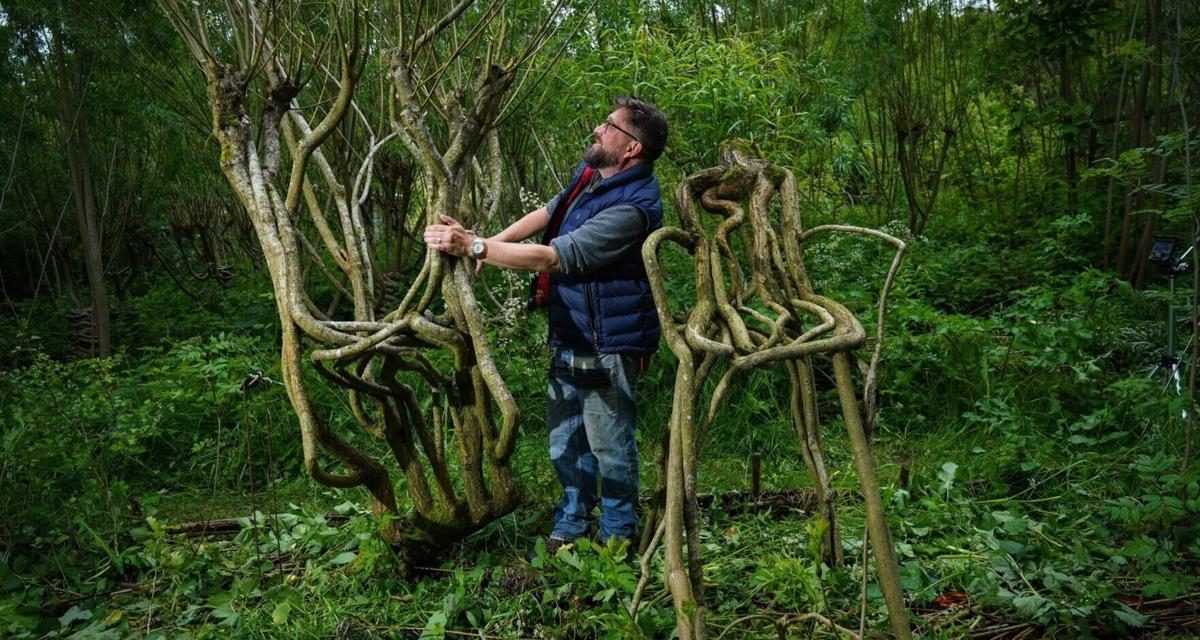 ‘Furniture orchard’ grows chairs from trees
