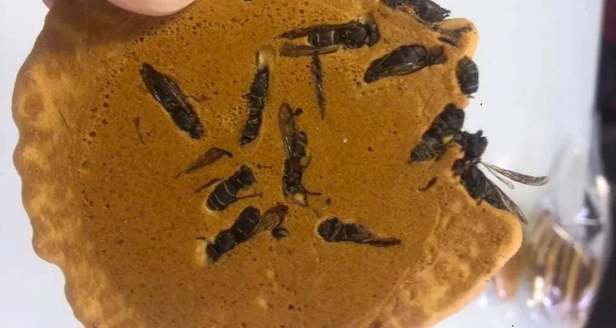 Jibachi Senbei – Japan’s Unique Wasp-Infused Crackers