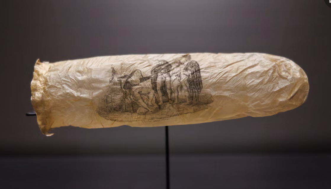 Dutch museum to display 200-year-old condom probably made from sheep’s appendix