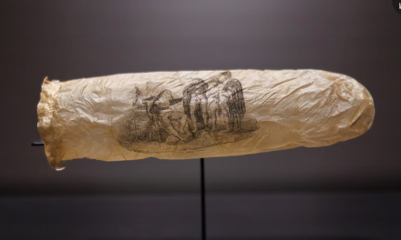 Dutch museum to display 200-year-old condom probably made from sheep’s appendix