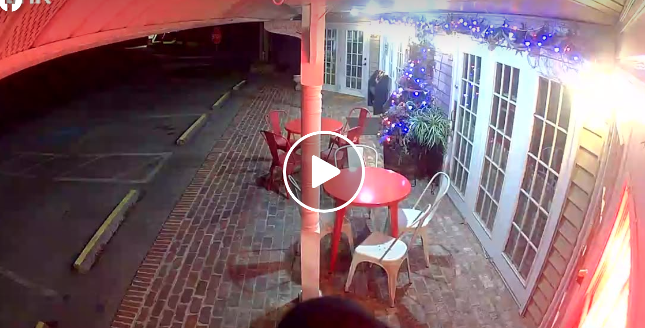 Bear’s attempted bakery break-in caught on camera in Tennessee
