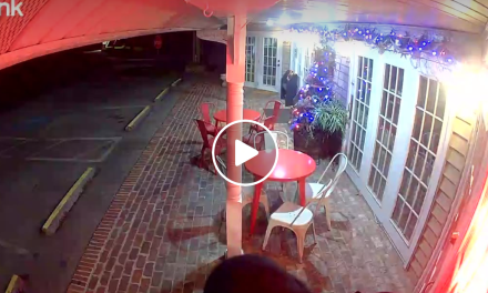 Bear’s attempted bakery break-in caught on camera in Tennessee