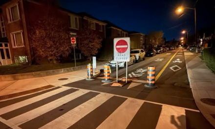 Google Maps glitch sends drivers the wrong way on one-way road