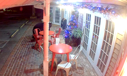 Bear’s attempted bakery break-in caught on camera in Tennessee