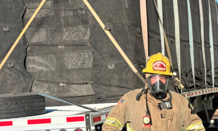 Firefighters rescue 25 million bees in broken-down semi