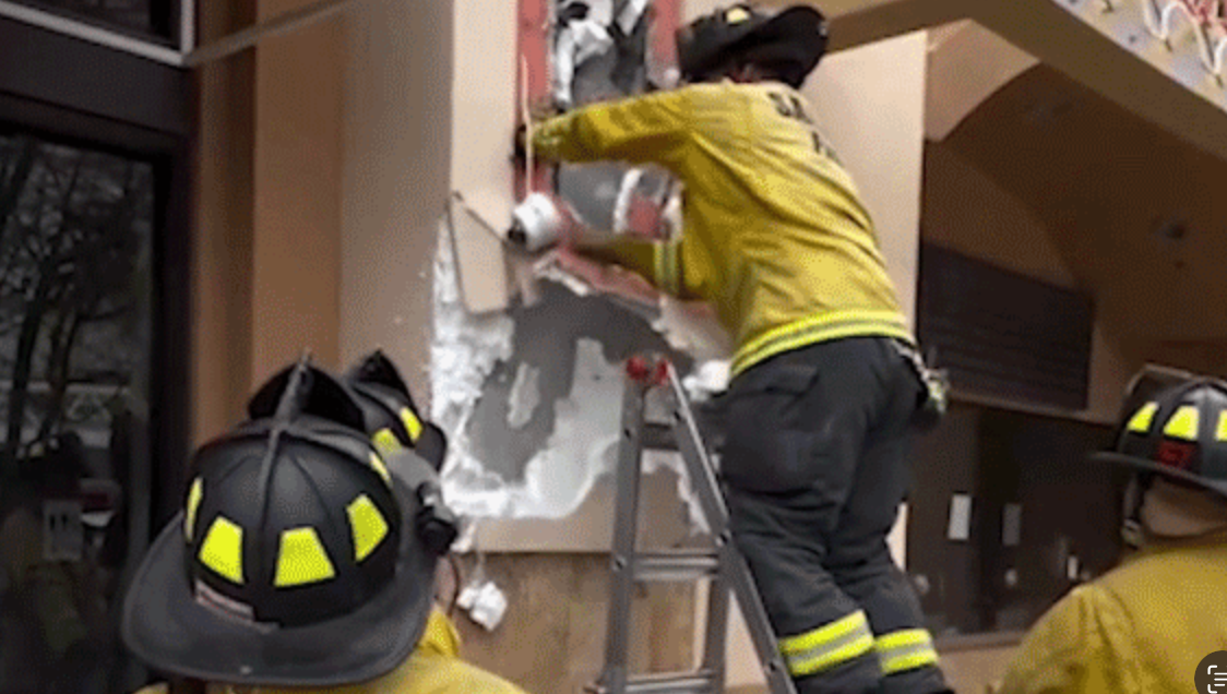 Alleged burglar rescued after reported break-in failure leaves him stuck inside wall for 10 hours
