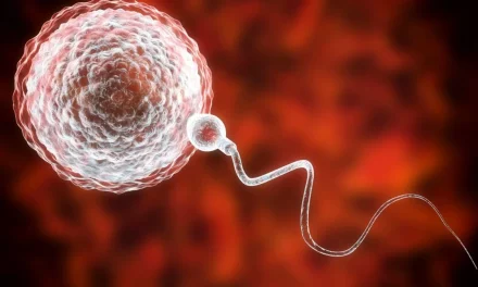 World First Transplant: Man Regains Viable Sperm From His Childhood Testicle Tissue