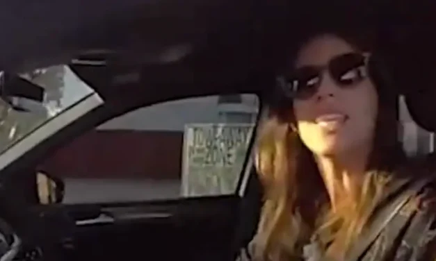 Ridiculous moment police officer accuses one-armed woman of texting and driving