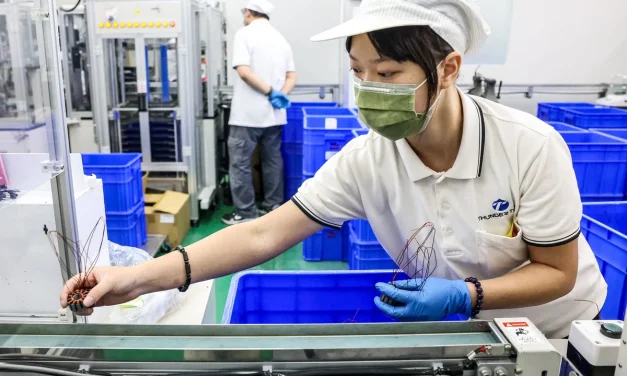 Taiwan’s Disposable Drones Tempt Europe, U.S.