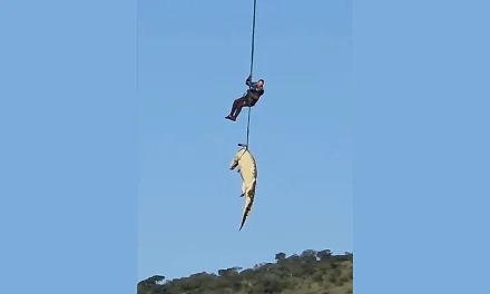 South African police airlift massive crocodile suspected of eating missing local