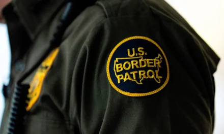 Mexican man pleads guilty to impersonating Border Patrol agent to ‘disrupt deportation missions’