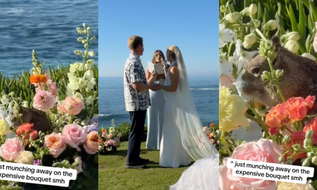 An Outdoor Wedding Took an Unexpected Turn Thanks to One Very Bold Squirrel