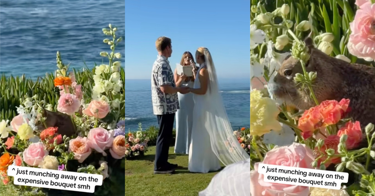 An Outdoor Wedding Took an Unexpected Turn Thanks to One Very Bold Squirrel