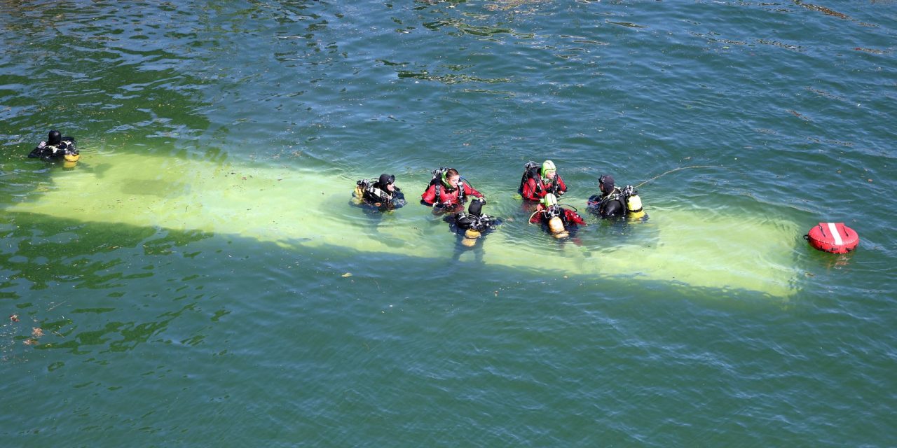 Four people pulled from River Seine after trainee driver crashes bus into water in Paris
