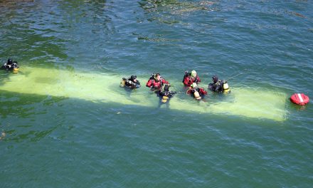 Four people pulled from River Seine after trainee driver crashes bus into water in Paris