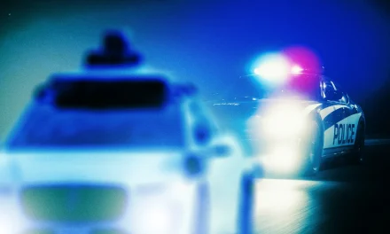 Waymo Pulled Its Cars From the Freeway After One Fled Police With Horrified Couple on Board
